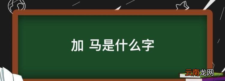 加+马是什么字，加?马是什么字