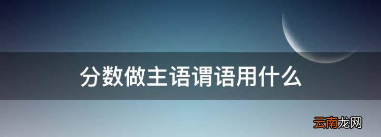 分数做主语谓语用什么