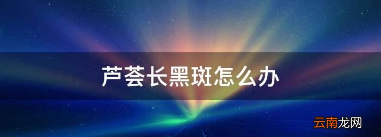 芦荟长黑斑怎么办，芦荟长的太大怎么处理