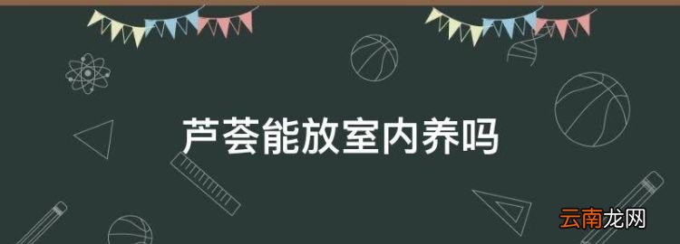 芦荟能放室内养，芦荟可以放卧室内养吗百度