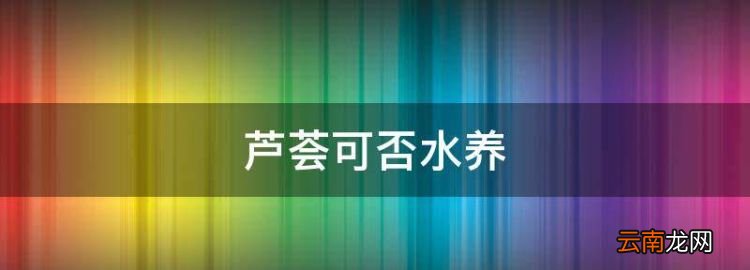 芦荟可否水养，芦荟多长时间浇一次水比较好呢