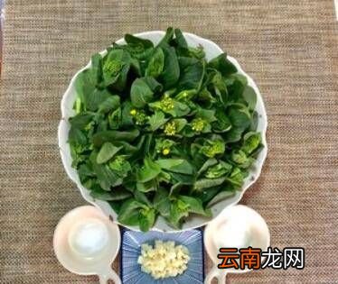 菜头怎么炒，圆菜头怎么做好吃又简单