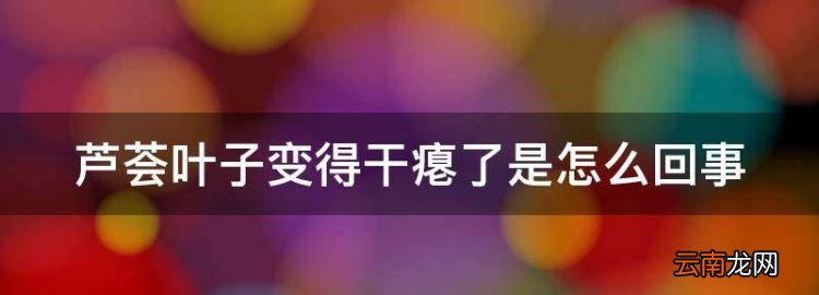 芦荟叶子变得干瘪了是怎么回事，芦荟换盆以后叶子干瘪是什么原因