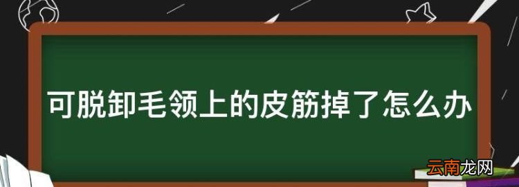 可脱卸毛领上的皮筋掉了怎么办