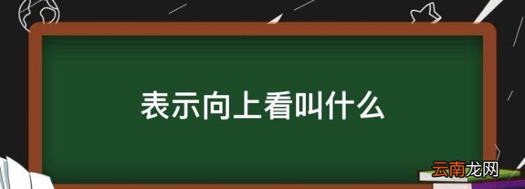 表示向上看叫什么，抬头向上看的看的词语是什么意思