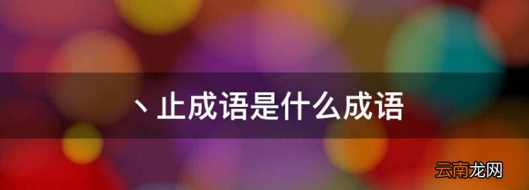 丶止成语是什么成语，含有字的四字成语大全