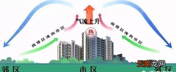 城市中的气温明显什么外围郊区