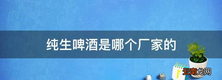 纯生啤酒是哪个厂家的，逸品纯生218毫升的价格