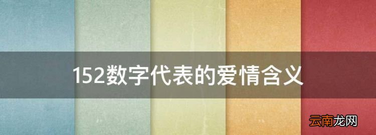 52数字代表的爱情含义，229有什么爱情含义吗爱情锁