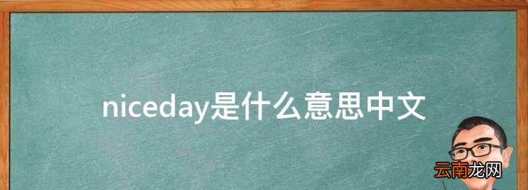 niceday是什么意思中文