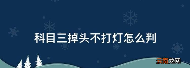 科目三掉头不打灯怎么判，科三忘记打转向灯一次扣多少分啊