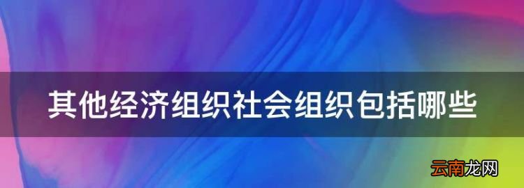 其他经济组织社会组织包括哪些