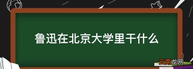 鲁迅到北大教过书吗，鲁迅在北京大学里干什么