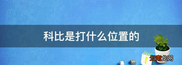 科比是打什么位置的，nba篮球比赛视频回放