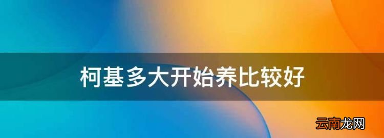 柯基多大开始养比较好，三个月的柯基犬多少钱一只