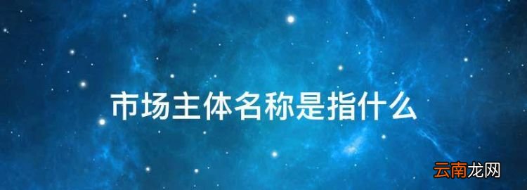 市场主体名称是指什么，在房地产市场中市场主体是什么