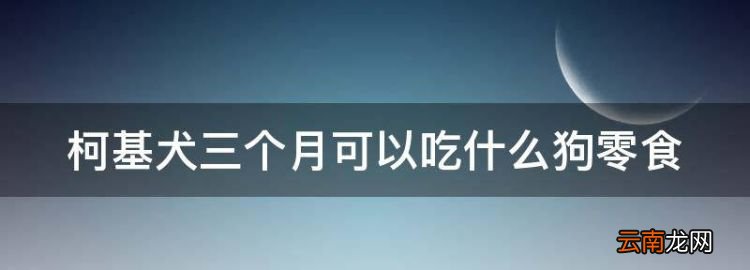 三个月大的柯基可以吃苹果吗，柯基犬三个月可以吃什么狗零食