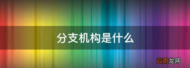 分支机构是什么，法人的组织机构是什么意思