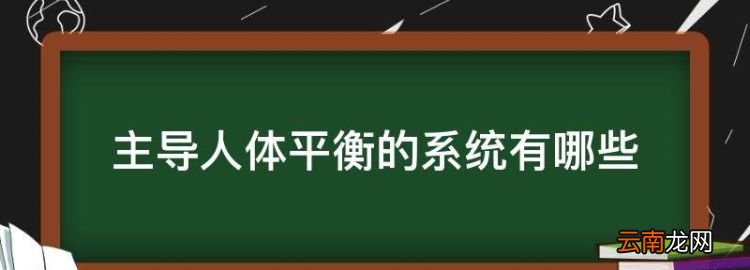 主导人体平衡的系统有哪些，在人体中脚是最辛苦的补充句子