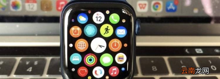 iwatch se和6的区别