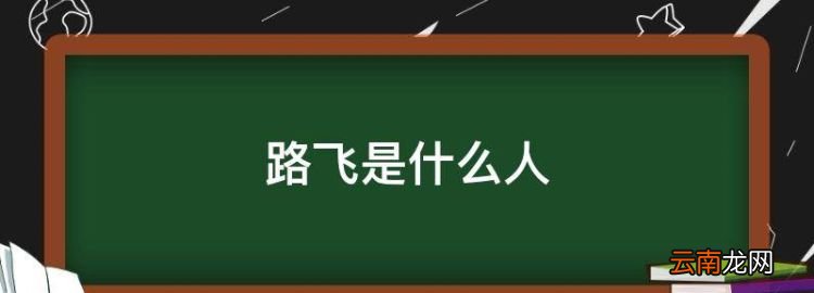 路飞是什么人，路飞在日语里什么意思