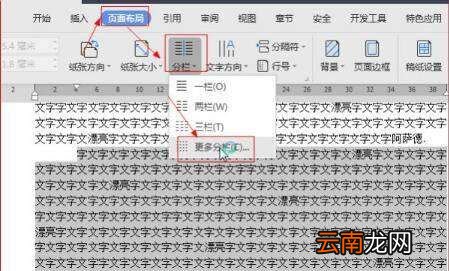 word等宽两栏加分隔线，等宽两栏 栏间添加分隔线