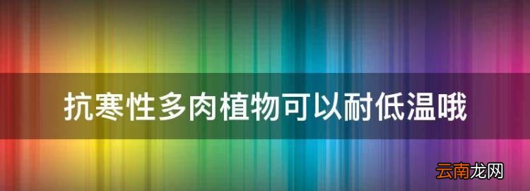 多肉耐寒最低温度是多少度，抗寒性多肉植物可以耐低温哦