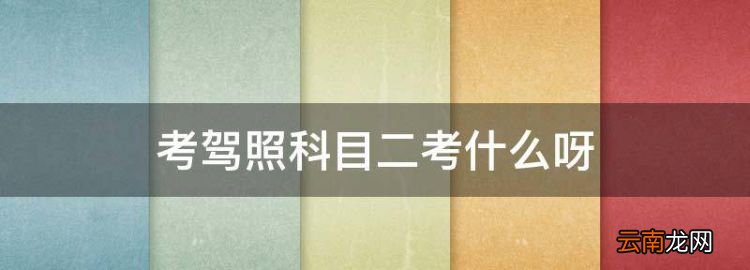 考驾照科目二考什么，考驾照科目二考试内容是什么