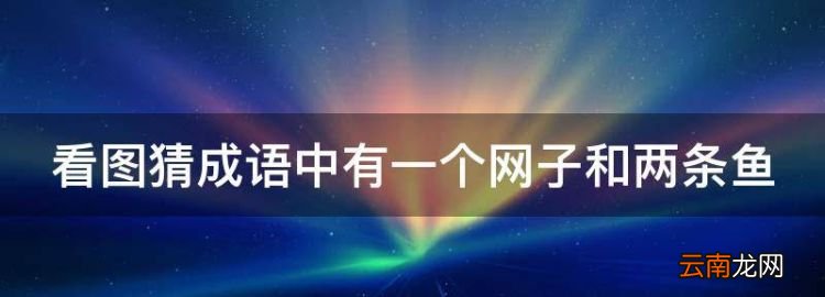 两条鱼吐口水打一成语，看图猜成语中有一个网子和两条鱼