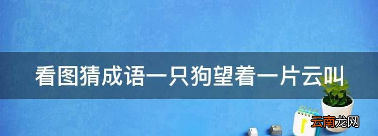 看图猜成语狗头貂尾，看图猜成语一只狗望着一片云叫