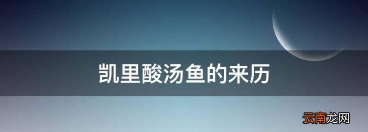 凯里酸汤鱼的来历，作文凯里酸汤鱼解说词怎么写