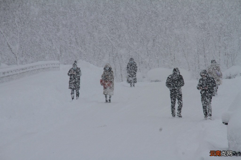 直击｜山东威海遭遇极端暴雪，积雪超70厘米破历史极值