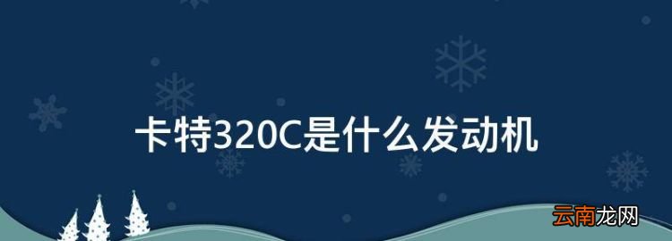 卡特320C是什么发动机，卡特320c大水箱好还是小水箱的好