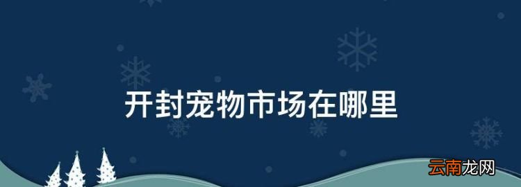 开封宠物市场在哪里，开封猫狗市场在哪里