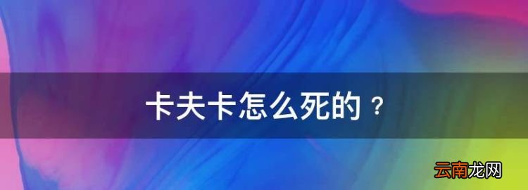 卡夫卡怎么死的﹖，卡夫卡的一生是怎样的一件事