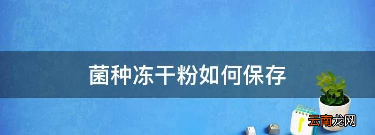 菌种冻干粉如何保存，安瓿瓶的菌种冻干粉能放到离心管里保存吗?