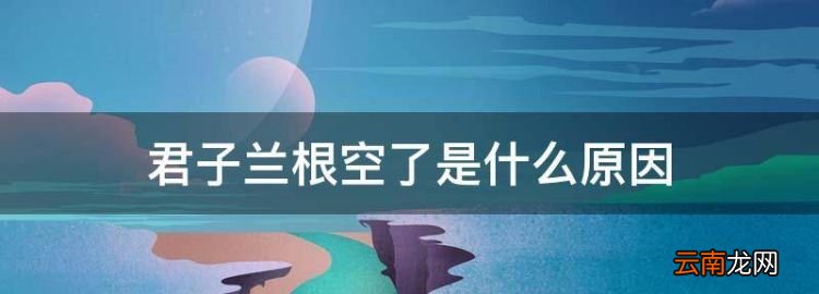 君子兰根空了是什么原因，君子兰烂根没有根了怎么办