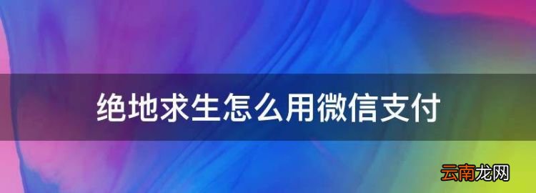 绝地生怎么用微信支付