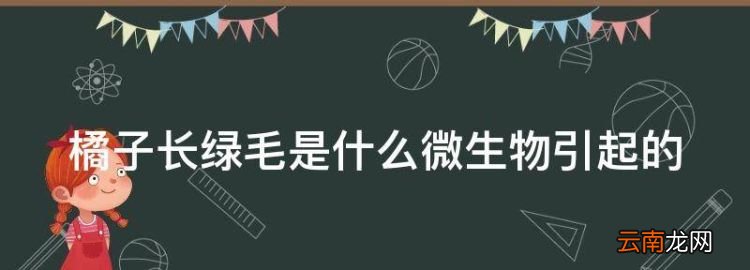 橘子长绿毛是什么微生物引起的，橘子皮上长的绿色霉菌是青霉菌吗