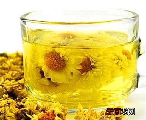 菊花茶里加什么好